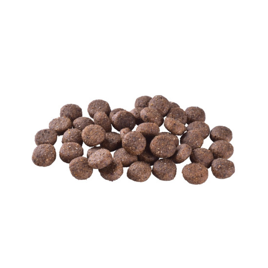 Brit Care Grain-free Adult сухой корм для собак 1 кг - лосось