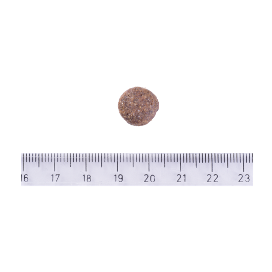 Сухой корм для собак малых и средних пород Brit Care Grain-free Adult 12 кг (лосось)