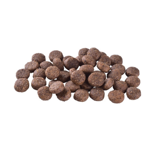 Сухой корм для собак малых и средних пород Brit Care Grain-free Adult 12 кг (лосось)