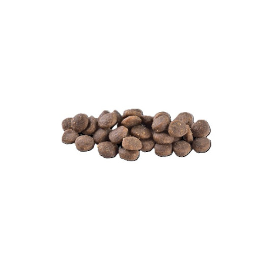 Сухой корм для щенков малых и средних пород Brit Care Grain-Free Puppy 12 кг (лосось)