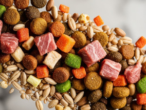 Як обрати корм для собаки: Повний посібник з харчування для здоров'я та довголіття