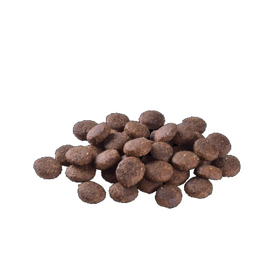 Сухий корм для молодих собак великих порід Brit Care Dog Grain-free Junior Large Breed беззерновий 3 кг (лосось)