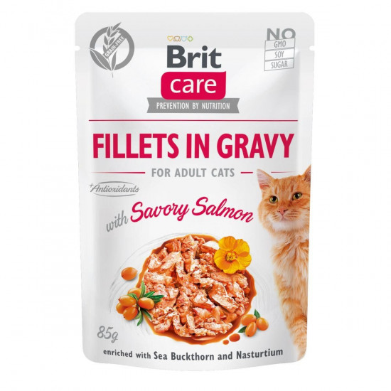 Вологий корм для котів Brit Care Cat pouch 85g (філе лосося в соусі)