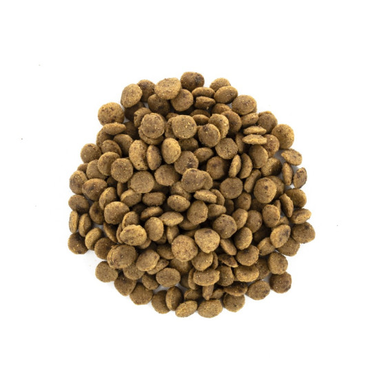 Сухой корм для кошек крупных пород Brit Care Cat GF Large cats Power & Vitality 2 кг (курица и утка)