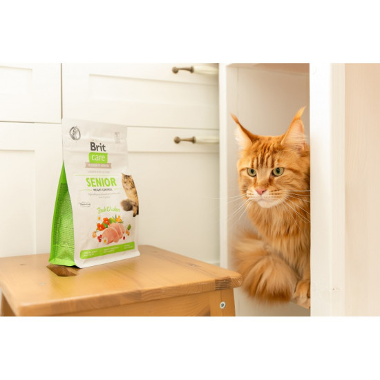 Сухий корм для літніх котів із зайвою вагою Brit Care Cat GF Senior Weight Control 400 г (курка)