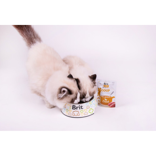 Вологий корм для котів Brit Care Soup pouch 75 г (качка)