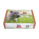 НАБІР Brit Care GIFT BOX Kitten НАБІР Brit Care GIFT BOX Kitten