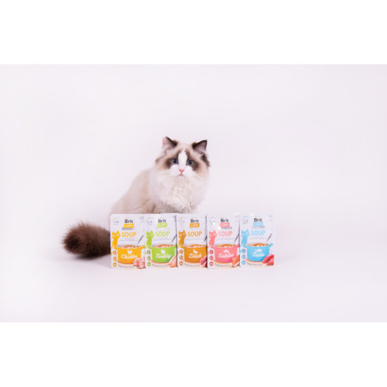 Вологий корм для котів Brit Care Soup pouch 75 г (курка)