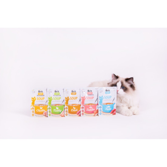 Вологий корм для котів Brit Care Soup pouch 75 г (курка)