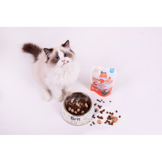 Ласощі для котів Brit Raw Treat Indoor & Antistress Freeze-dried з куркою, 40 г