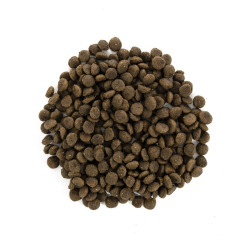 Сухой корм для щенков и молодых собак миниатюрных пород Brit Care Mini GF Puppy Lamb 400 г (ягненок)