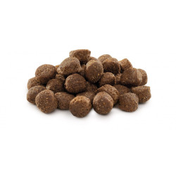 Сухой корм для взрослых собак средних пород (весом от 10 до 25 кг) Brit Premium Adult M 3 кг (курица)