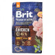 Сухой корм для взрослых собак средних пород (весом от 10 до 25 кг) Brit Premium Adult M 3 кг (курица)