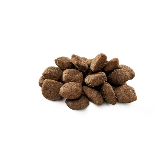 Сухой корм для собак с чувствительным пищеварением Brit Premium Sensitive Lamb & Rice 3 кг (ягненок) Сухой корм для собак с чувствительным пищеварением Brit Premium Sensitive Lamb & Rice 3 кг (ягненок)