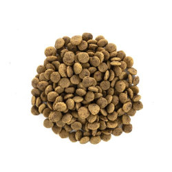 Сухий корм для котів великих порід Brit Care Cat GF Large cats Power & Vitality 2 кг (курка і качка) Сухий корм для котів великих порід Brit Care Cat GF Large cats Power & Vitality 2 кг (курка і качка)