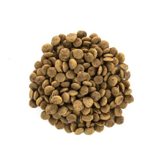 Сухой корм для кошек крупных пород Brit Care Cat GF Large cats Power & Vitality 2 кг (курица и утка)