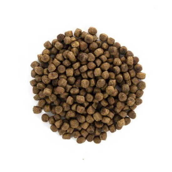 Сухой корм для котят Brit Care Cat GF Kitten HGrowth & Development 400 г (курица и индейка)
