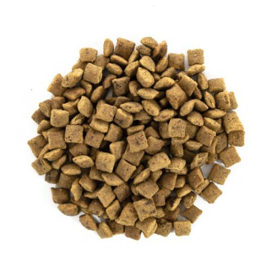 Сухой корм для кошек с лишним весом Brit Care Cat GF Senior Weight Control 2 кг (курица) Сухой корм для кошек с лишним весом Brit Care Cat GF Senior Weight Control 2 кг (курица)