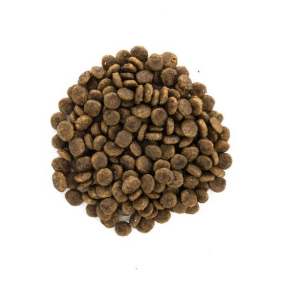 Сухой корм для привередливых кошек Brit Care Cat GF Sensitive HDigestion & Delicate Taste 2 кг (индейка и лосось)