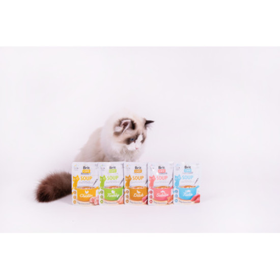 Влажный корм для кошекBrit Care Soup pouch 75 г (лосось)