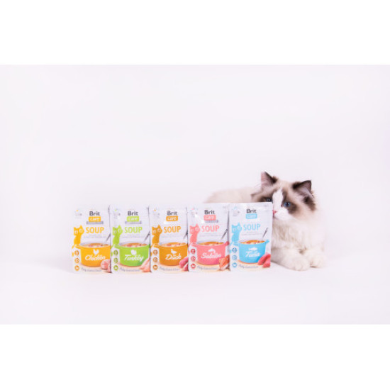 Brit Care Soup pouch влажный корм для кошек 75 г - индейка Brit Care Soup pouch влажный корм для кошек 75 г - индейка
