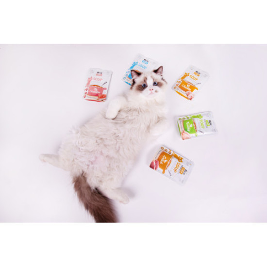 Brit Care Soup pouch влажный корм для кошек 75 г - индейка Brit Care Soup pouch влажный корм для кошек 75 г - индейка