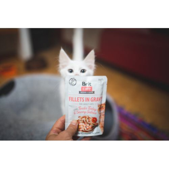 Вологий корм для котів Brit Care Cat pouch 85g (філе індички та лосося в соусі) Вологий корм для котів Brit Care Cat pouch 85g (філе індички та лосося в соусі)