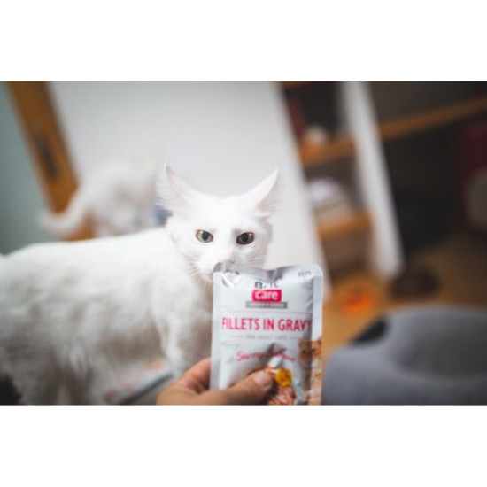 Вологий корм для котів Brit Care Cat pouch 85g (філе лосося в соусі) Вологий корм для котів Brit Care Cat pouch 85g (філе лосося в соусі)