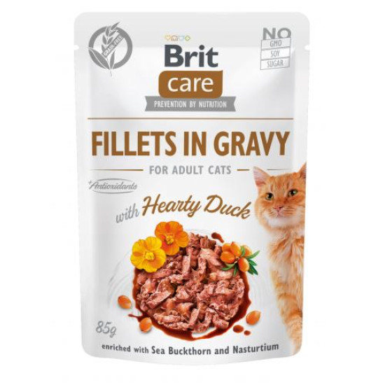 Вологий корм для котів Brit Care Cat pouch 85g (філе качки в соусі) Вологий корм для котів Brit Care Cat pouch 85g (філе качки в соусі)