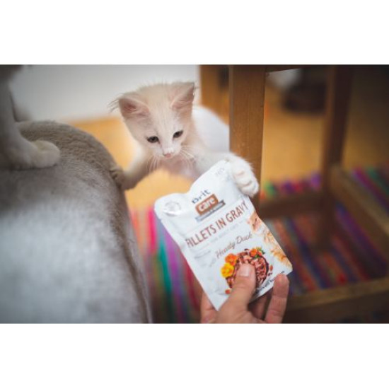 Вологий корм для котів Brit Care Cat pouch 85g (філе качки в соусі) Вологий корм для котів Brit Care Cat pouch 85g (філе качки в соусі)
