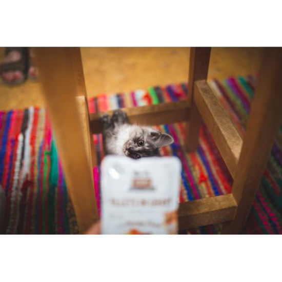 Вологий корм для котів Brit Care Cat pouch 85g (філе качки в соусі) Вологий корм для котів Brit Care Cat pouch 85g (філе качки в соусі)