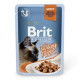 Вологий корм для котів Brit Premium Cat Turkey Fillets Gravy pouch 85 г (філе індички в соусі) Вологий корм для котів Brit Premium Cat Turkey Fillets Gravy pouch 85 г (філе індички в соусі)