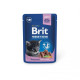 Влажный корм для котят Brit Premium pouch 100 г - белая рыба Влажный корм для котят Brit Premium pouch 100 г - белая рыба