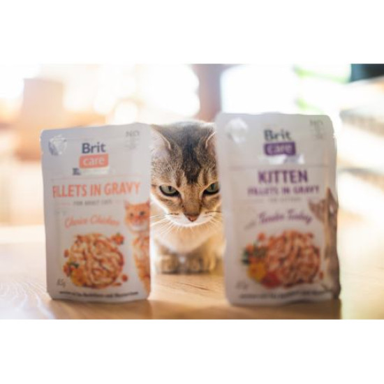 Влажный корм для котят Brit Care Cat pouch 85 г (индейка) Влажный корм для котят Brit Care Cat pouch 85 г (индейка)