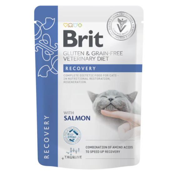 Влажный корм для котов Brit GF VetDiet Recovery pouch 85 г - лосось