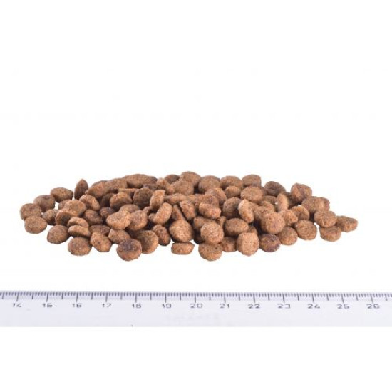 Сухой корм для кошек, для снижения веса Brit GF Veterinary Diet Obesity 400 г (курица)