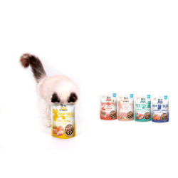 Ласощі для котів Brit Raw Treat Hair & Skin 40 г - риба та індичка Ласощі для котів Brit Raw Treat Hair & Skin 40 г - риба та індичка