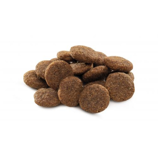 Сухой корм для взрослых собак крупных пород (весом от 25 до 45 кг) Brit Premium Adult L 3 кг (курица)