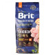 Сухой корм для взрослых собак средних пород (весом от 10 до 25 кг) Brit Premium Adult M 15 кг (курица) Сухой корм для взрослых собак средних пород (весом от 10 до 25 кг) Brit Premium Adult M 15 кг (курица)