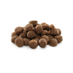 Сухой корм для взрослых собак средних пород (весом от 10 до 25 кг) Brit Premium Adult M 3 кг (курица) Сухой корм для взрослых собак средних пород (весом от 10 до 25 кг) Brit Premium Adult M 3 кг (курица)