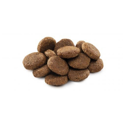 Brit Premium Dog Senior L+XL сухой корм для собак 3 кг - курица Brit Premium Dog Senior L+XL сухой корм для собак 3 кг - курица