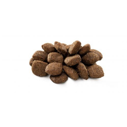 Сухой корм для собак с чувствительным пищеварением Brit Premium Sensitive Lamb & Rice 3 кг (ягненок) Сухой корм для собак с чувствительным пищеварением Brit Premium Sensitive Lamb & Rice 3 кг (ягненок)