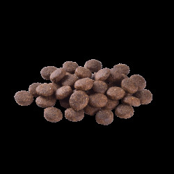 Сухий корм для цуценят великих порід Brit Care Dog Grain-free Junior Large Breed беззерновий 12 кг (лосось) Сухий корм для цуценят великих порід Brit Care Dog Grain-free Junior Large Breed беззерновий 12 кг (лосось)