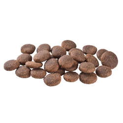 Сухий корм для собак великих порід Brit Care Dog Grain-free Adult Large Breed беззерновий | (лосось) 12 кг Сухий корм для собак великих порід Brit Care Dog Grain-free Adult Large Breed беззерновий | (лосось) 12 кг