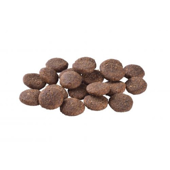Brit Care Hypoallergenic Large Breed Adult сухой корм для собак 1 кг - ягненок