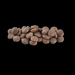 Сухий корм для цуценят Brit Care Dog Grain-free Puppy беззерновий | (лосось) 12 кг Сухий корм для цуценят Brit Care Dog Grain-free Puppy беззерновий | (лосось) 12 кг