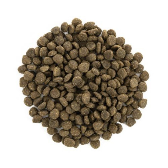 Сухой корм для взрослых собак миниатюрных пород Brit Care Mini GF Adult Lamb 400 г (ягненок)