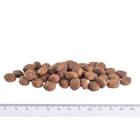 Сухой корм для собак, при сахарном диабете Brit GF Veterinary Diet Dog Diabetes 2 кг (индейка) Сухой корм для собак, при сахарном диабете Brit GF Veterinary Diet Dog Diabetes 2 кг (индейка)