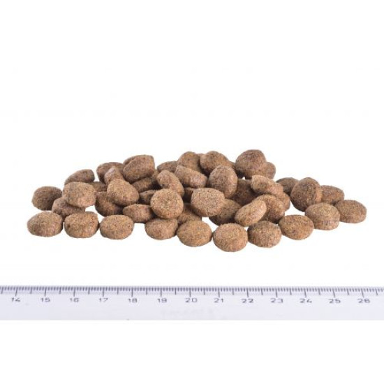 Сухий корм для собак, для зниження ваги Brit GF Veterinary Diet Dog Obesity 12 кг (ягня) Сухий корм для собак, для зниження ваги Brit GF Veterinary Diet Dog Obesity 12 кг (ягня)