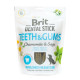 Ласощі для собак Brit Dental Stick Teeth & Gums 251 г 7 шт - ромашка і шавлія Ласощі для собак Brit Dental Stick Teeth & Gums 251 г 7 шт - ромашка і шавлія